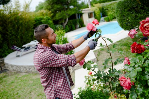 Professional lawn mowing services in action