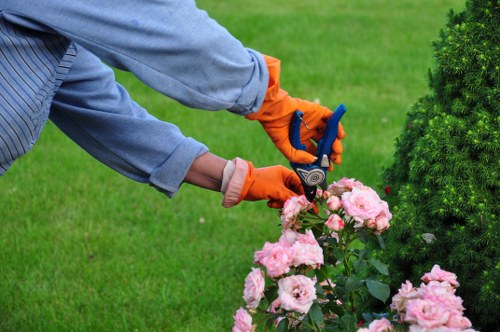 Choosing the right lawn mowing service